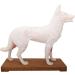 66Fit Dog Acupuncture Model - Essential Pressure Points for Veterinarians | International Shipping Available - Buy Online on SooperMarket.com