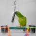 Xzhixiao 1 Piece Bird Parrot Bell Toy with Sweet Sound Stainless Steel Bell Toy Squirrel Bells Bell Hanging Toy Used for Bird Parrot Macaw African Greys Cockatoo Parakeet Cockatiels(S/ 7.7'') - Buy Online on SooperMarket.com