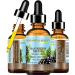 Botanical Beauty BLACKBERRY SEED OIL 100% Pure Natural Virgin Unrefined Cold Pressed Undiluted Carrier Oil. 0.5 Fl. oz -15 ml. for Face Skin Body Hair Lip Nails