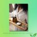 16 oz Prickly Pear Seed Oil - 100% Pure Cold Pressed by Dr. Adorable - Buy Online on SooperMarket.com