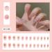 Compra WOOXDYUK 24 Piezas U as Posticas Mate - Cobertura Completa Rosa Desnudo | Arte de U as para Mujeres y Ni as - Env o Internacional - Buy Online on SooperMarket.com