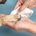 Zipy Dog Wipes - 350 Natural Deodorizing Care Cloths for Cats & Dogs | Fragrance-Free Moisture Towels for Paws Ears & Body - Buy Online on SooperMarket.com