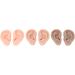 Artificial Ear Model Set - 3 Pairs Soft Human Ear Models in 3 Colors for Easy Home Use - Buy Online on SooperMarket.com