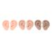 Simulated Ear Model Set - 3 Pairs, 3 Colors, Reusable & Easy to Use for Home - Buy Online on SooperMarket.com