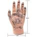 1 Pair of Human Human Body Hand Template PVC Model Chinese Hand Reflex Area Reflexology - Buy Online on SooperMarket.com
