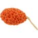 3pcs Shower Ball Bath Sponge Set - Luxurious Bathing Experience | International Shipping Available - Buy Online on SooperMarket.com