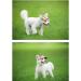 EGURS Baseball Hats for Dogs & Cats | Peace Sunbonnet Connection | Perfect for Small Medium & Large Pets - Blue L - Buy Online on SooperMarket.com