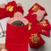 red Packets 25pcs Red Envelope Chinese New Year Hong Bao Lucky Red Packet Spring Festival Hong Bao Lucky New Year Red Envelopes Gifts red envelopes Chinese - Buy Online on SooperMarket.com