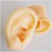 Medical Teaching Template Template Silicone Ear Template for Acupuncture - Size of Life Human Ear Model Lifeelike Artificial Ear Model