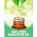 Ethereal Nature 100% Pure Eucalyptus Oil - Aromatherapy Skin & Hair Care - Beauty DIY - 4 FL OZ - Buy Online on SooperMarket.com