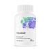 Thorne Ferrasorb - Complete Blood Support Formula with Iron Folate and B vitamins - 60 Capsules - 60 Servings