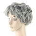 Buy Women's Grey Short Wavy Daily Cosplay Wig | Stylish & Comfortable | International Shipping - Buy Online on SooperMarket.com