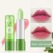 12PC Aloe Vera Lip Balm Set - Natural Color Changing Lipstick Moisturizing Gift for Girls - Buy Online on SooperMarket.com