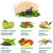 WisePatch Fuji Mint Sticker 50 Pcs - Refreshing Mint Design - Buy Online on SooperMarket.com