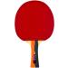 Butterfly Nakama S-1 Table Tennis Racket | Professional ITTF Approved Ping Pong Paddle with Sriver Rubber & Carbon | 2 Balls Included - Buy Online on SooperMarket.com