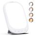 LASTAR Sun Light 10 000 LUX UV-Free Daylight Lamp with Memory Function 5 Adjustable Brightness Levels and 4 Timer Funtion Sunlight Lamp Compact Size for Winter Blues Wall Mountable Support Smart Plug Light White