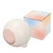 Reusable Gel Lint Roller Washable Strong Stickiness Portable Travel Lint Roller with Cover for Clothes Sofas
