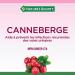 Nature's Bounty Cranberry Gummies Herbal Supplement Helps Prevent Recurrent UTIs 60 Gummies Multi-colored - Buy Online on SooperMarket.com