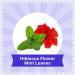 BLUE TEA - Hibiscus Mint Herbal Tea - 36 Tea Bags (Pack of 2) | CAFFEINE FREE | Hibiscus + Mint | Farm Packed Hibiscus Tea | Tin Packing - Buy Online on SooperMarket.com