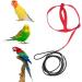 Buy Portable 8-Shape Parrot Flight Dishes - Adjustable Bird Bowls for Small & Medium Parrots | Perfect for Lovebirds & Cockatiels - International Shipping Available - Buy Online on SooperMarket.com