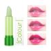 Gireatick 3Pcs Aloe Vera Lipstick - Temperature Changing Moisturizing Lip Gloss & Long-Lasting Lip Plumper Makeup Set - Shop Internationally! - Buy Online on SooperMarket.com