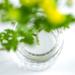 Wazakura Clear Ikebana Kenzan Japanese Flower Holder  Made in Japan  Plastic Floral Arranging Pin Frog  Round - 3(78mm) Clear - Buy Online on SooperMarket.com