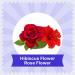 BLUE TEA - Hibiscus Rose Herbal Tea - 60 Tea Bags || CAFFEINE FREE || Hibiscus + Rose | Christmas Tea Gifts | Vegan - Gluten Free - Non-GMO | Eco-Conscious Ziplock Pouch - Buy Online on SooperMarket.com