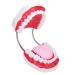 Portable Dental Model for Kids - Lifelike Teeth Brushing Demonstration & Educational Teaching Material - Buy Online on SooperMarket.com