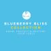 Curls Blueberry Bliss Curl Control Paste 4oz - Pack of 2 | Define & Style Your Curls - Buy Online on SooperMarket.com