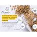 nalAmudhu Jeeragam | Jeera | | Cuminum cyminum |Cumin Seeds-200g  - Buy Online on SooperMarket.com