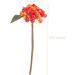 Artibetter 5pcs Christmas Ornaments Christmas Berry Twigs Xmas Floral Arrangements Christmas Tree Berries Red Berry Arrangement Wreath Artificial Berry Xmas Berries Bouquet Soft Pvc Spray Orange 27.00X11.00X11.00CM - Buy Online on SooperMarket.com
