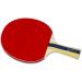 Butterfly B603FL Ping Pong Paddle Set with Case | Tournament Grade Table Tennis Racket for High Speed & Spin - Buy Online on SooperMarket.com