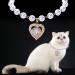 Rayminsino Pet Necklace Elegant Cardiac & Cat Pearls with Shiny Gemstones | Pearl-Strass Collar for Small Cats & Dogs | Rose Gold Wedding Jewelry - Buy Online on SooperMarket.com