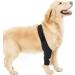 Pet Dog Injury Knee Brace Leg Inflammation Pain Alleviate Leg Support Sheaths for Dogs Outdoor Walking Accessories - Buy Online on SooperMarket.com