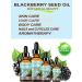 100% Pure Blackberry Seed Oil - Virgin Unrefined Cold Pressed Carrier Oil for Face Skin Hair | 0.5 Fl. oz - Buy Online on SooperMarket.com