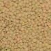 Organic Green Lentils 2kg - GMO Free, Vegan, High Fibre, High Protein - Wholefood Earth - Buy Online on SooperMarket.com