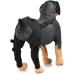 Pet Dog Knee Brace ACL Brace for Dogs Rear Leg Dog Braces for Back Leg for Support for Heals Prevents Injuries Sprains Black Large Large Black - Buy Online on SooperMarket.com