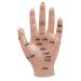 Acupuncture Hand Model Reflexology Acupoint Medical Study Kit
