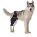 CORHAD Pet Injury Knee Puppy Brace Elbow and Knee Pads Dog Knee Cover Butter Care L As Shown - Buy Online on SooperMarket.com