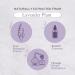 Plant of Life Essential Oil - 100% Pure and Natural - Therapeutic Grade Essential Oil with Dropper (Lavender 2 oz (60mL)) - Buy Online on SooperMarket.com