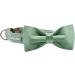 Shop Lionet Paw's Comfortable Silk Green Dog Collar with Removable Fly - XS for Puppies & Cats (20-30cm) - Ideal for International Shipping - Buy Online on SooperMarket.com