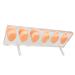 6 Pcs Silicone Ear Model Set for Hearing Aids with Acrylic Display Board - Buy Online on SooperMarket.com