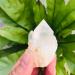 90g-180g Natural Crystal Cluster Skeleton Flower Stone 1pc HOMEZHOU (Color : 1pc 130g-150g) - Buy Online on SooperMarket.com
