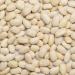 Wholefood Earth Organic Haricot Beans 1kg - Raw, Vegan, GMO Free | High Fibre & Protein | Certified Organic - Buy Online on SooperMarket.com