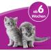 Whiskas Cat Milk 3 x 200ml - Buy Online on SooperMarket.com