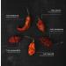 Chilli No. 5 The Scorpion Dried Scorpion Chilli Flakes 15g Glass Tube - Buy Online on SooperMarket.com