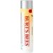 Burt s Bees Lip Balm for Dry Chapped & Cracked Lips Ultra Conditioning Lip Repair with Kokum Butter Shea Butter and Cocoa Butter Unscented 4.25g (Pack of 2) Ultra Conditioning with Kokum Butter 4.25g (Pack of 2) - Buy Online on SooperMarket.com