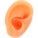 Acupuncture Ear Model - Multi-Purpose Soft & Reusable Fake Ear for Practical Training (Right) - Buy Online on SooperMarket.com