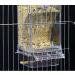 Automatic Bird Feeder No Mess Bird Feeder Bird Cage Feeder Bird Cage Accessories for Parakeet Canary Cockatiel Finch - Buy Online on SooperMarket.com