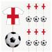 England Football Party Food & Cupcakes Picks Decorations Toppers Euro World Cup (pack of 14)